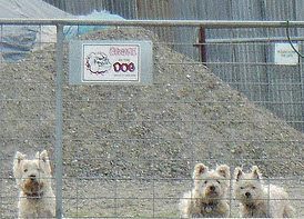 HIPAA Perimeter Security